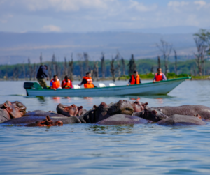 LAKE NAIVASHA PACKAGE
